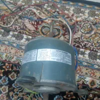 فن کولر مسی