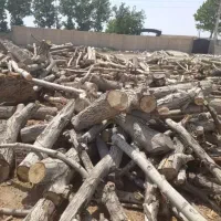 خریدوفروش انواع چوب با بالاترین قیمت در استان