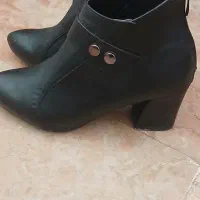 کفش مجلسی