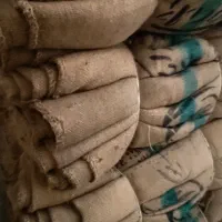 گونی کنفی