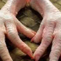 پای مرغ غذایی سک