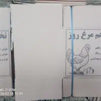 فروش کارتن تخم مرغی