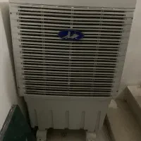 کوار سلولزی مغازه