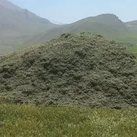 سه تن یونجه کیلویی ۵۰