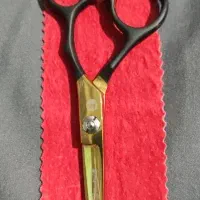 قیچی سالنی