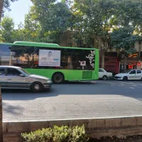 مغازه پاخوردار مرکزشهر برخ اصلی