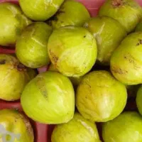 مواد غذایی