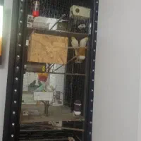قفس بزرگ