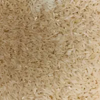 برنج پاییزه بینام