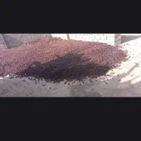 خرید کده ریگان و روستا ها