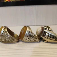 ۶ تا انگ‌شتر