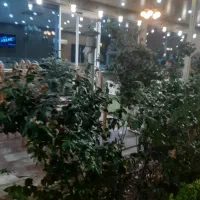 استخدام نیرو کار رستوران