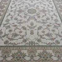 فرش کارکرده پرهام/دوتخته فرش۱۰۰۰شانه محتشم ۱۲ متری