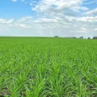 فروش-یک-قطعه-زمین3هزار-متری-نزدیک-به-بافت-روستایی