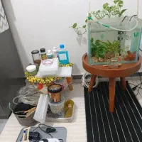 پمپ و فیلتر و بخاری و گیاه و غذا و نور و دماسنج