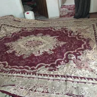 دوتا قالی 12متری