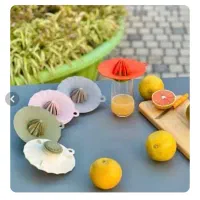 ابمیوه گیری عمده تک