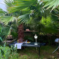 ماساژ در سالن و فضای باز outdoor