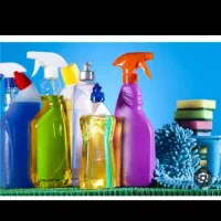 شرکت خدماتی امیر