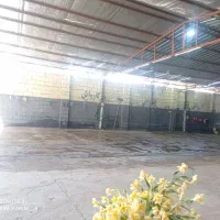 نیرو کارواش