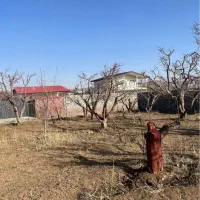 ۵۰۰متر باغ با درختان بی نظیر سند تک برگ انشعاب وصل