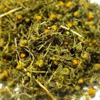 بابونه اصل اصل شیراز