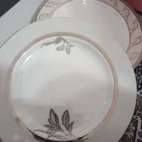 بشقاب برنج خوری 13عدد 17عددبشقاب دونمونه چینی