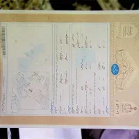 زمین فراز بوشهر فرهاد دانشگاه بیرجند