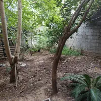 زمین مشارکتی ۱۵۰ متر