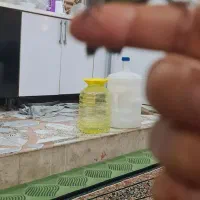 مرغ مینا