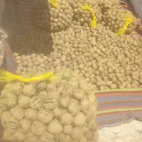 گردو تازه امسالی به قیمت نیم کیلو تخمه