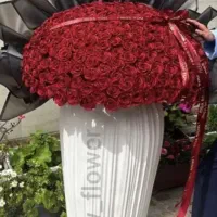 باکس  شیک