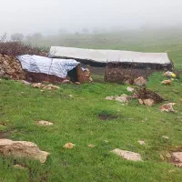 فروش برزنت ضداب
