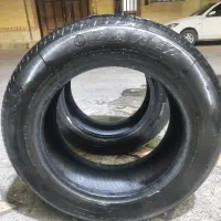 لاستیک ۱۵