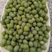 زیتون درشت وعالی برای فروش  موجود میباشد