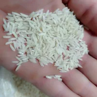 برنج هاشمی