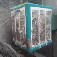کولر ازمایش