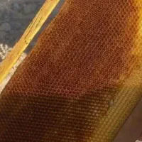 پوکه زنبور عسل