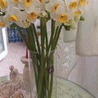 گل های خمیری منعطف و نشکن