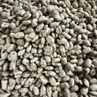 لوبیا چیتی عمده با قیمت مناسب