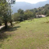 زمین باغی مسکونی