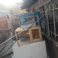 حالا هرجور راحتی