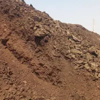 کودگاوی|خدمات باغبانی و درختکاری|نجفآباد, جوزدان|دیوار