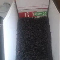 پیج ام دی اف