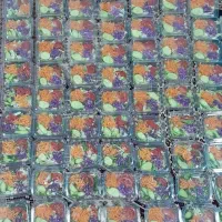 انواع سالاد و ژله و کیک