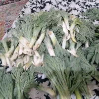 کال|خوردنی و آشامیدنی|نجف‌آباد, بازار|دیوار