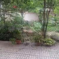 زمین-در-بافت-گلوگاه