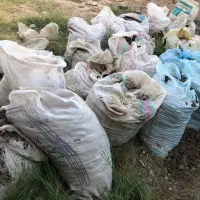 کمپوست قارچ