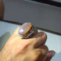 انگشتر شجردورنگ زیبا