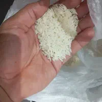 برنج طارم هاشمی460هزارتومان
